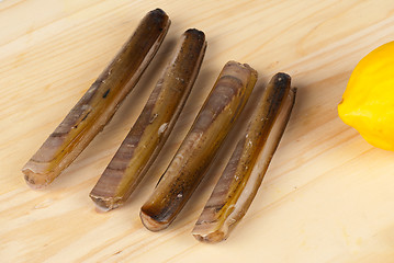 Image showing Razor clams