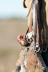 Image showing Hunting still life