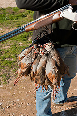 Image showing Hunting still life