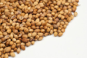 Image showing Coriander seeds
