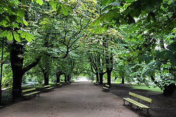 Image showing Warsaw park