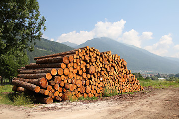 Image showing Wooden logs