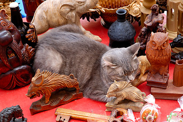 Image showing Cute funny gray cat sleeping among antique decor objects