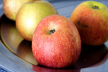 Image showing apples