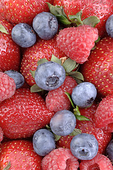 Image showing A mouthwatering vertical display of the strawberry, blueberry, and raspberry. (macro, 12MP camera)