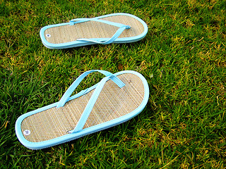 Image showing thongs on the grass