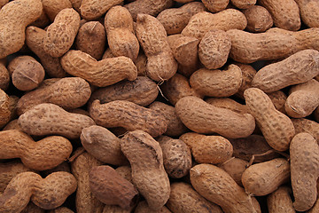 Image showing Peanuts in shells