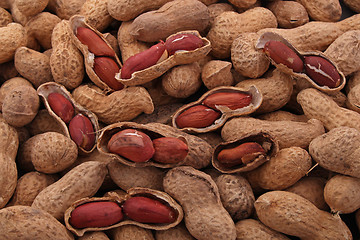 Image showing Peanuts in shells