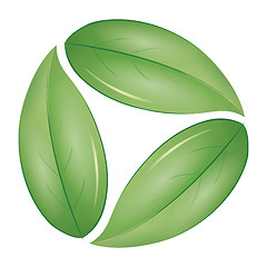 Image showing green leafs