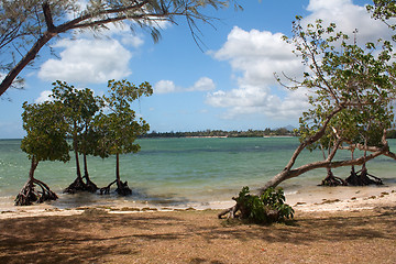 Image showing View of the East Coast