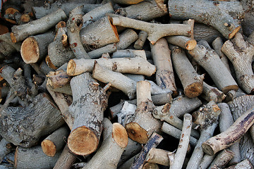 Image showing Pile of firewood