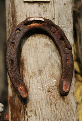 Image showing Horseshoe on fence