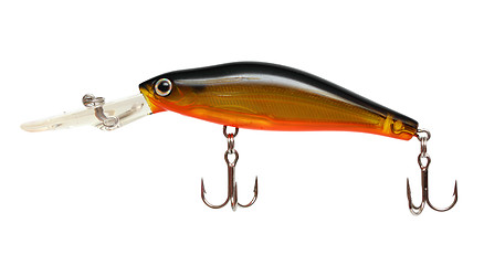 Image showing wobbler for fishing