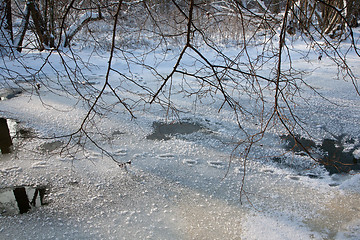 Image showing Partly frozen river in december with branches hanging over