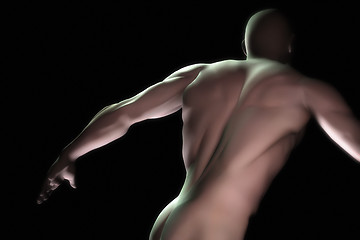Image showing male torso