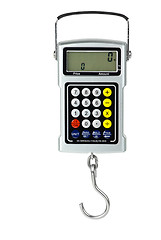 Image showing Digital fishhook scales with built-in calculator