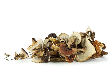 Image showing Dried cepe mushrooms on the rope