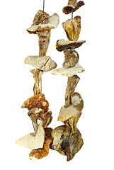 Image showing Some dried cepe mushrooms hanging on the rope