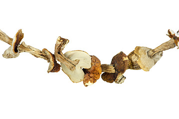 Image showing Dried cepe mushrooms on the rope