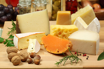 Image showing Cheese variety