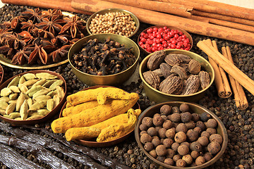 Image showing Spices