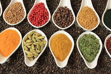 Image showing Spices