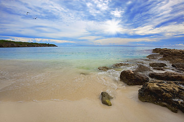 Image showing Turquoise Curacao