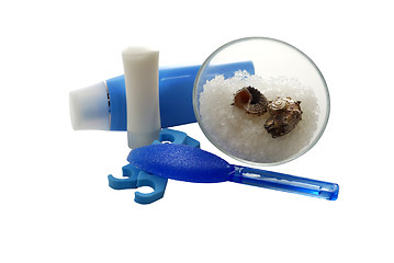 Image showing Blue foot SPA set with salt and cream