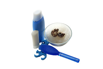 Image showing Blue foot SPA set with salt and shells