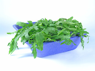 Image showing fresh rucola