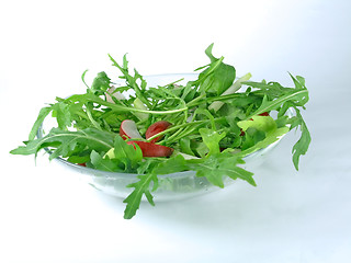 Image showing fresh rucola