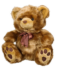 Image showing Toy bear on a white background