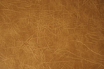 Image showing Leather brown upholstery