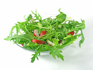 Image showing fresh rucola