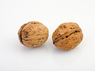 Image showing Two nuts