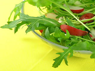 Image showing fresh rucola