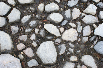 Image showing Stony ground