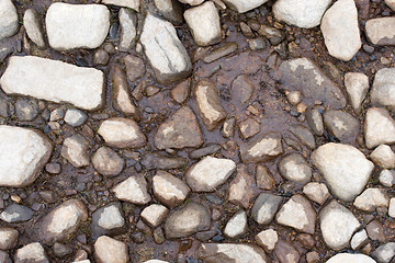 Image showing Stony ground