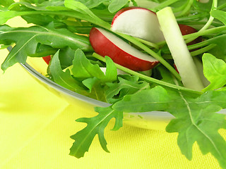 Image showing fresh rucola