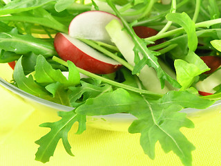 Image showing fresh rucola salad with radish and kohlrabi