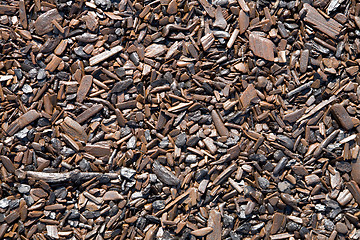 Image showing Rotten chips on coast of lake