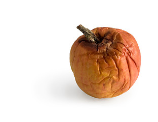 Image showing Rotten apple