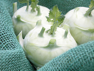 Image showing kohlrabi