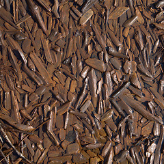 Image showing Rotten chips on coast of lake