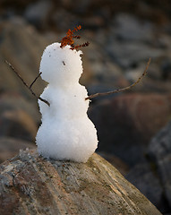 Image showing Primitive snowball