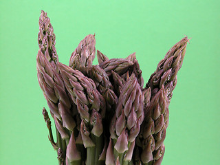 Image showing asparagus