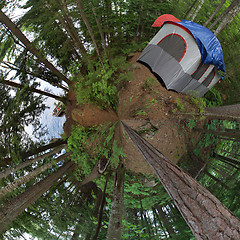 Image showing Forest Tent Camping