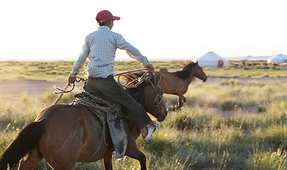 Image showing Wild Mustang roundup