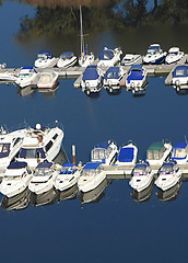 Image showing yachts