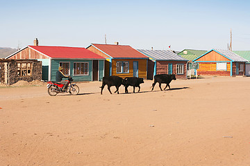 Image showing Traditional mongolian village